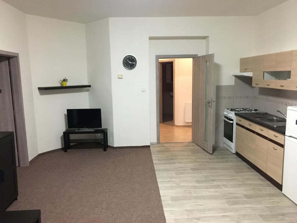 Apartmány U Muzea Decin Exteriér fotografie